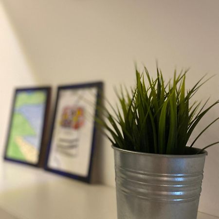Family Home Nis , Free Parking מראה חיצוני תמונה
